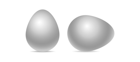 realistic three-dimensional egg vector