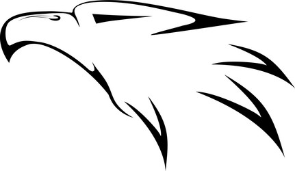 eagl head vector image