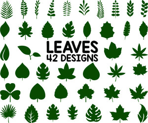 42 leaves designs vector