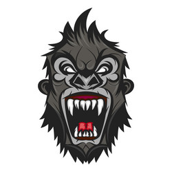 gorilla head vector image