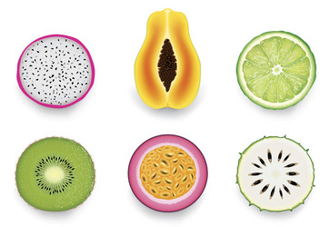 group of many fresh tropical slice fruit vector image