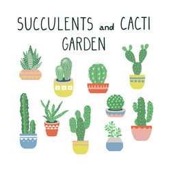 cacti and succulents set cactus vector image