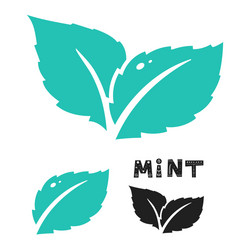 blue mint leave icon on white leaves vector image