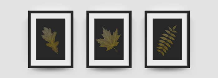 photo frames mockup wall pictures or posters vector image