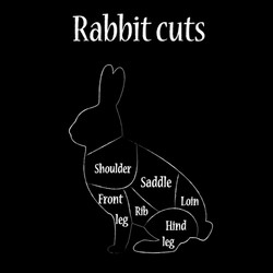 rabbit cuts chart vector image