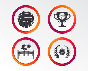 volleyball and net icons winner award cup vector image