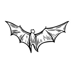 engraved bat hand drawing isolated on white vector image