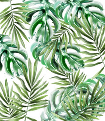 palm leaves pattern watercolor tropic vector image