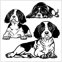 cavalier king charles spaniel - set vector image