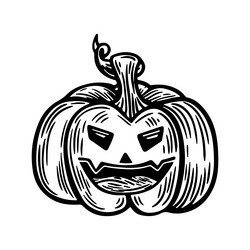 halloween pumpkin line drawing vector image