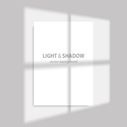 shadow and light from window transparent vector image