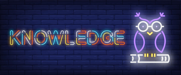 knowledge neon text with owl on book vector image