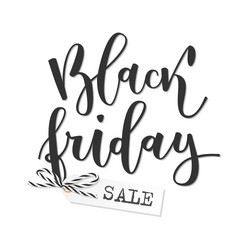 black friday hand written inscription vector image