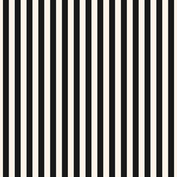 Vertical stripes seamless pattern black white vector