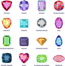 jewelry gems cuts infographics vector image