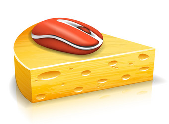 cheese vector image