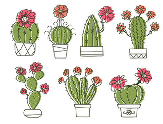 cactuses hand drawn outline cactus with flowers vector image