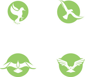 Bird fly logo template vector