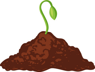 sprout green icon growing from black soil vector image