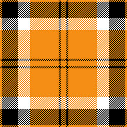 orange black and white tartan plaid seamless patte vector image