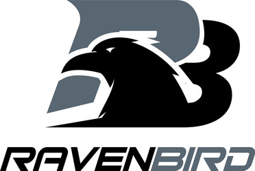 raven bird simple modern logo designs vector image