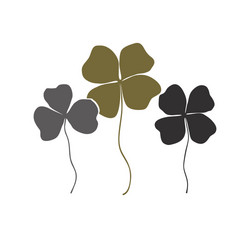 clovers with four and three leaves bouquet vector image