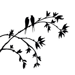 birds at tree silhouettes vector image