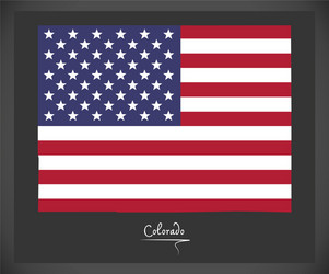 colorado with american national flag vector image