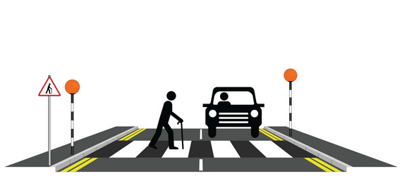 zebra crossing vector image