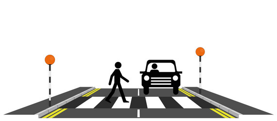 zebra crossing pedestrian vector image