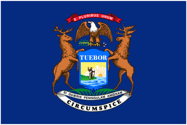 accurate correct michigan state flag vector image