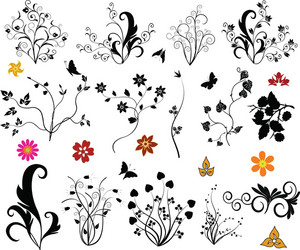 floral vector image