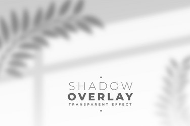 leaves and window pane shadow overlay effect vector image