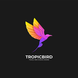 logo bird gradient colorful vector image