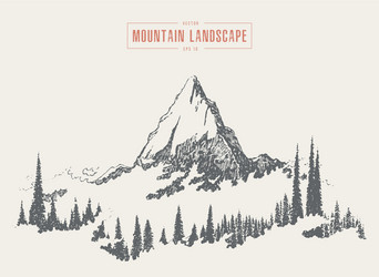 mountain peak pine forest style hand drawn vector image