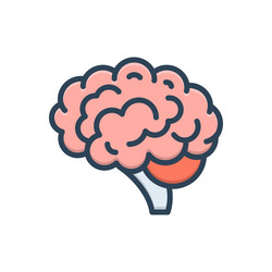 brain vector image