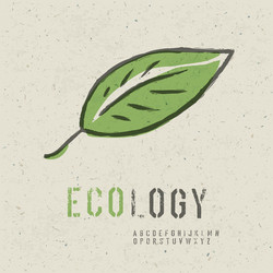 ecology concept green leaf image vector image