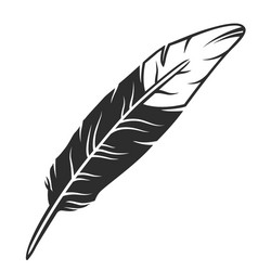 black and white bird feather a wing vector image