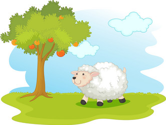 sheep field vector image