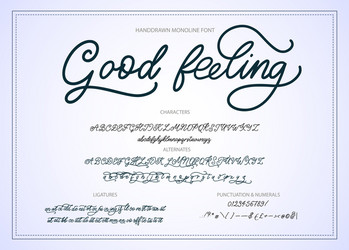 hand drawn font vector image