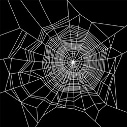 cobweb white on black background vector image