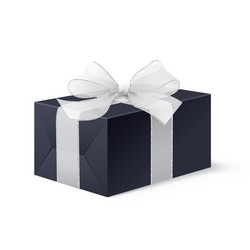 Realistic mock up black locked box with bow vector