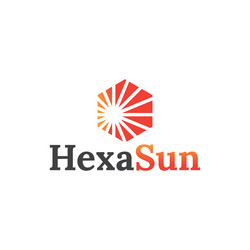 hexagon sun logo template vector image