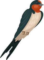 swallow graceful bird vector image