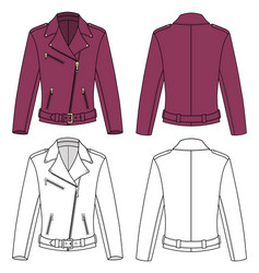 jacket vector image