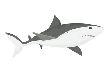 shark character vector image