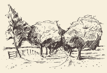 hand drawn landscape trees meadow vector image