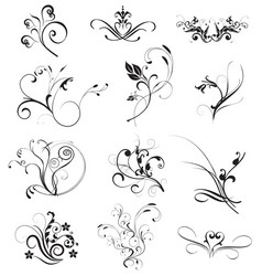 floral elements vector image