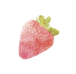 watercolor strawberry fruit on white vector image