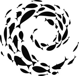 school fish a group swim in circle vector image